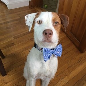 Meet your Posher, Hayley